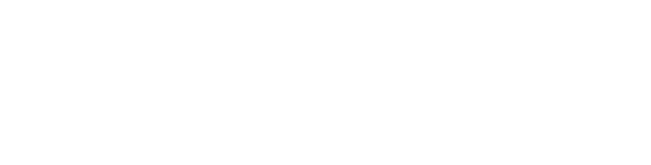 AI Action